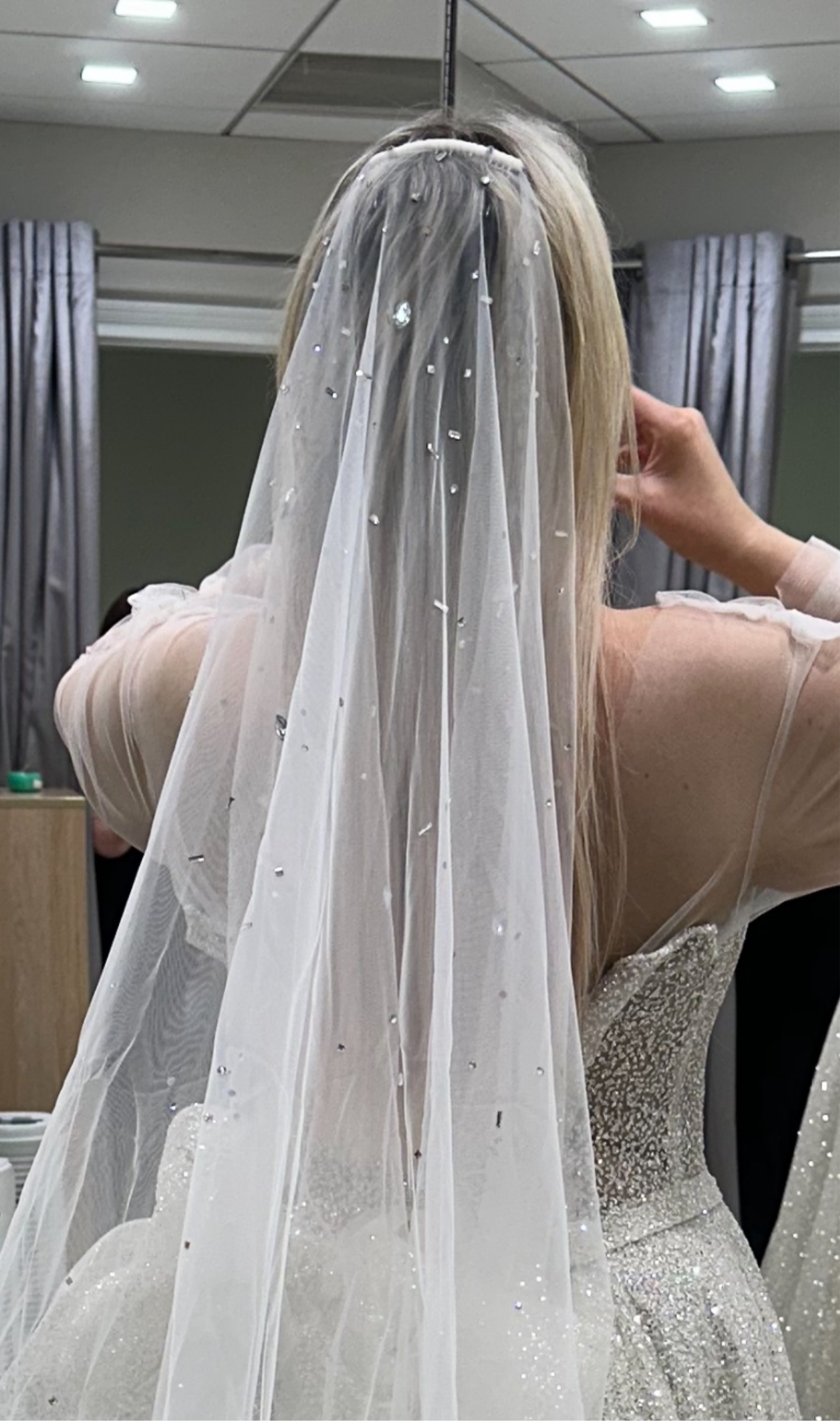 Sparkly Veil on Bride