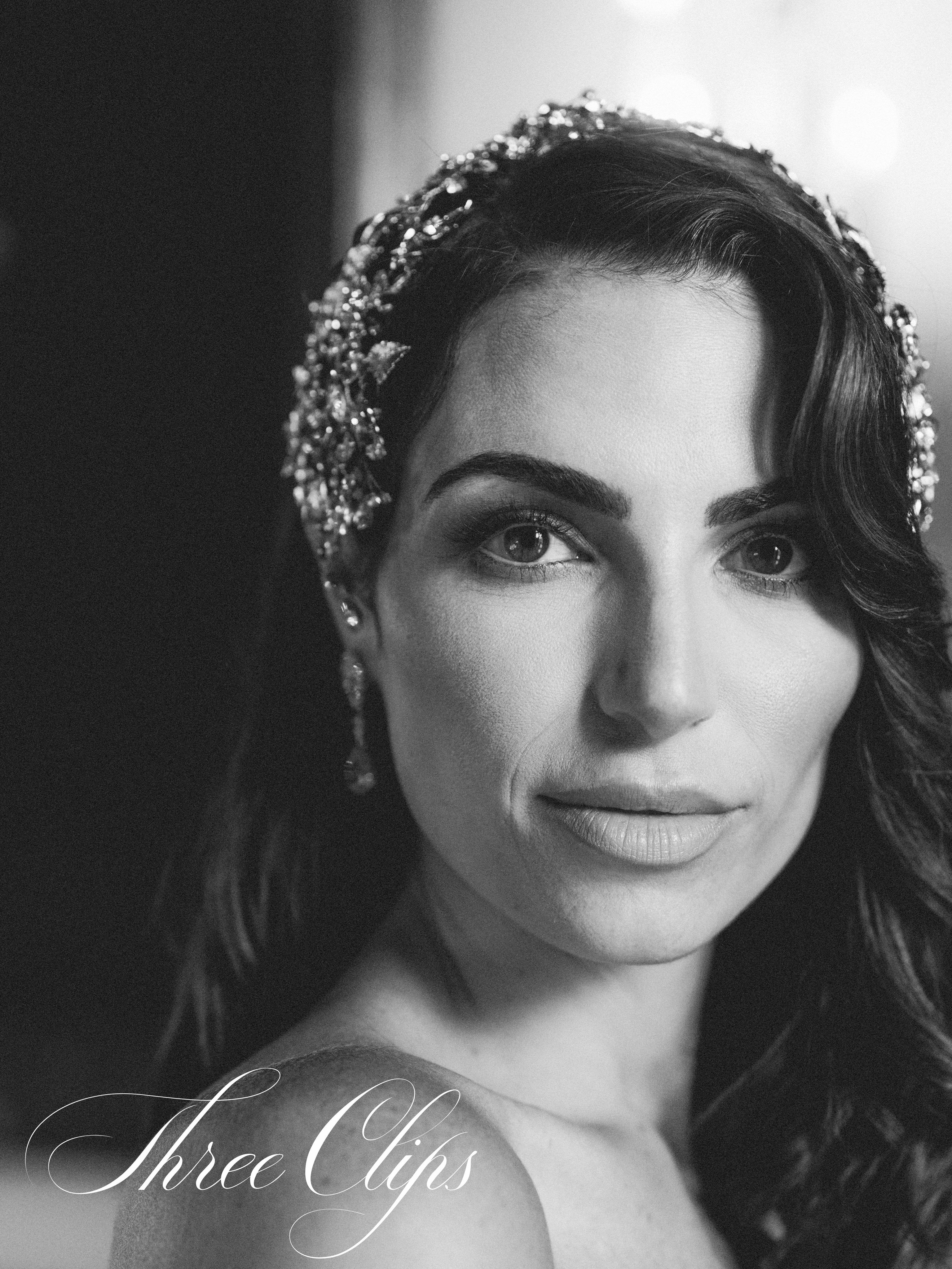 EDEN LUXE Bridal Headpiece MARGOT Silver Bridal Hair Clips