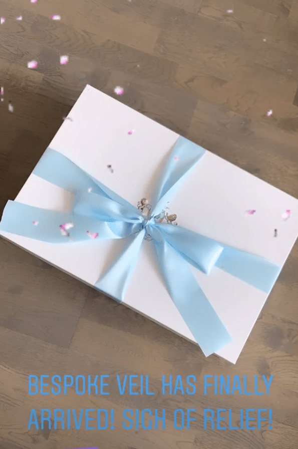 EDEN LUXE Bridal Veils Silk Tulle Chantilly Lace Drop Veil - KATE Veil