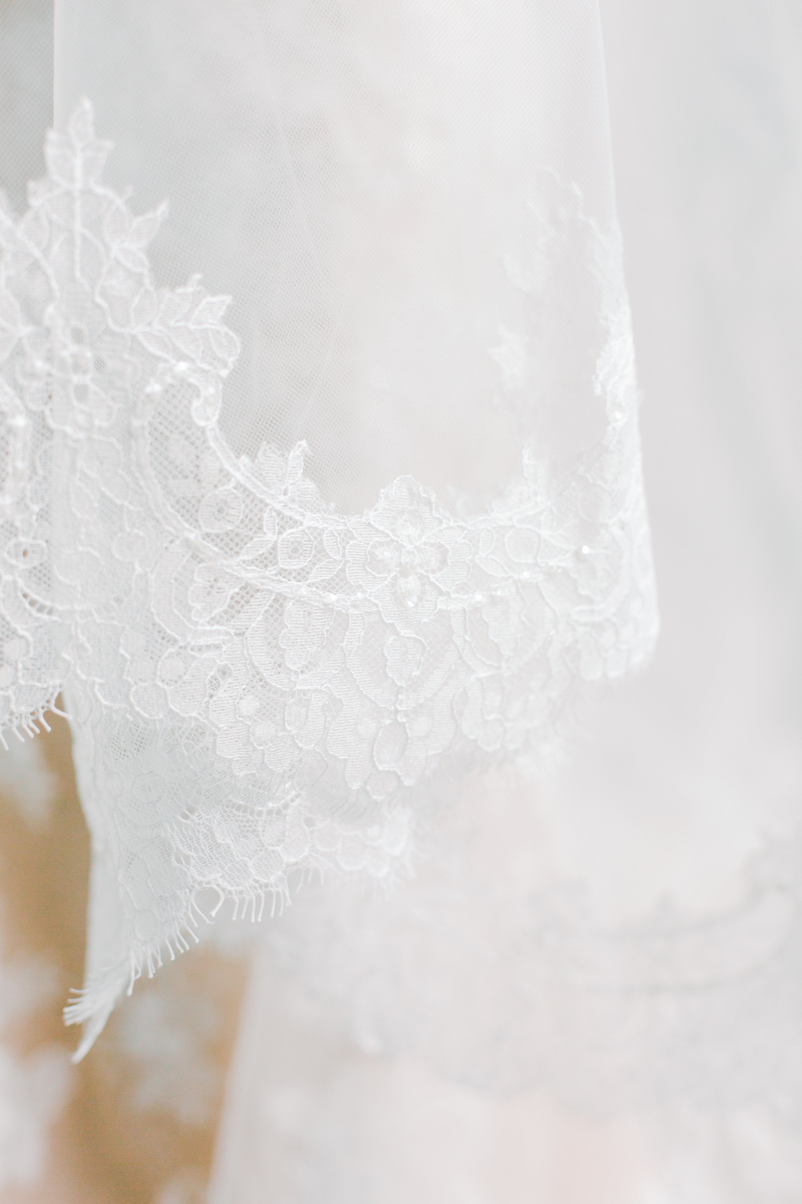 EDEN LUXE Bridal Veils VALENTINA Chantilly Lace Edged Drop Cathedral Bridal Veil