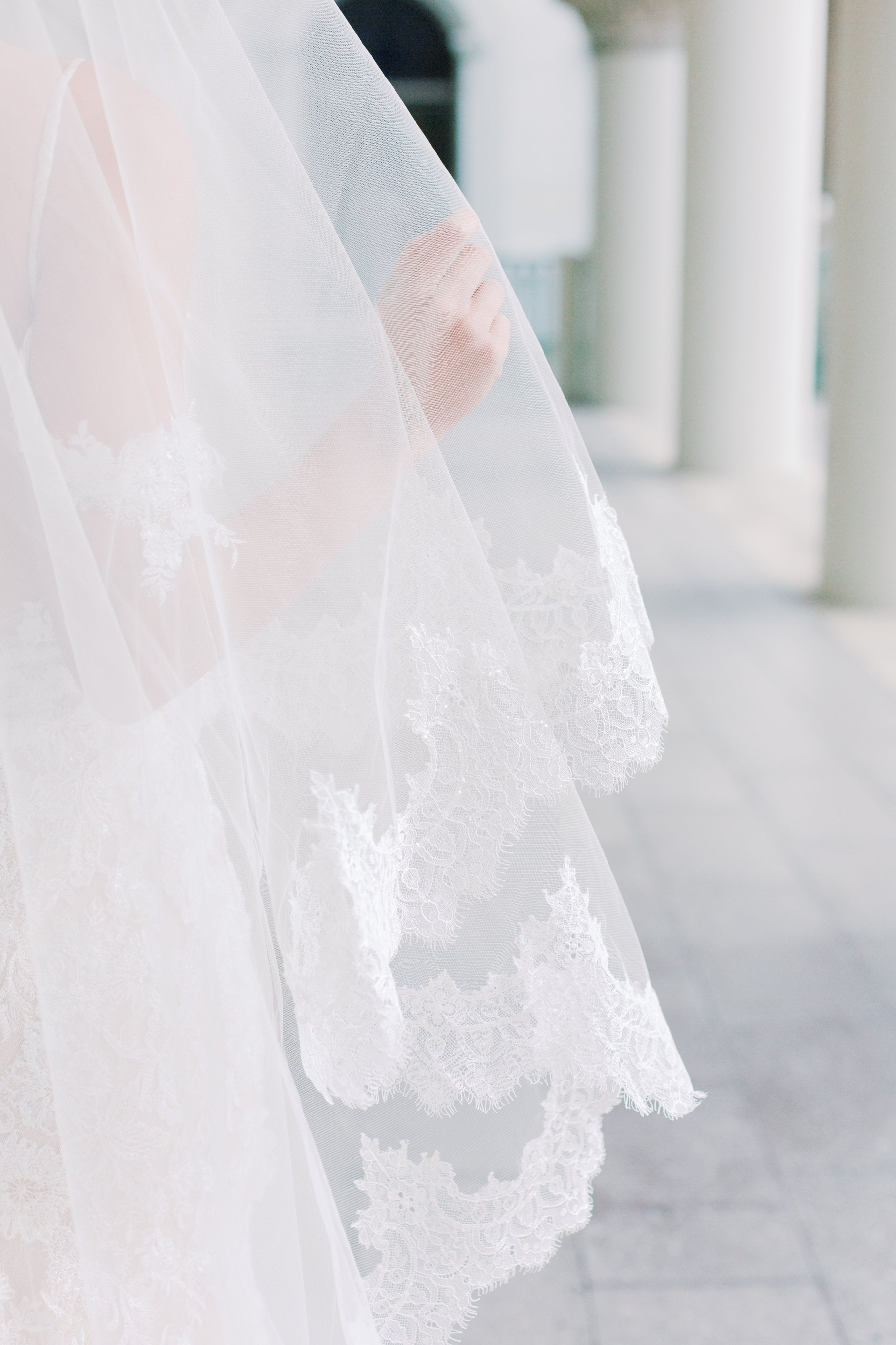 EDEN LUXE Bridal Veils VALENTINA Chantilly Lace Edged Drop Cathedral Bridal Veil