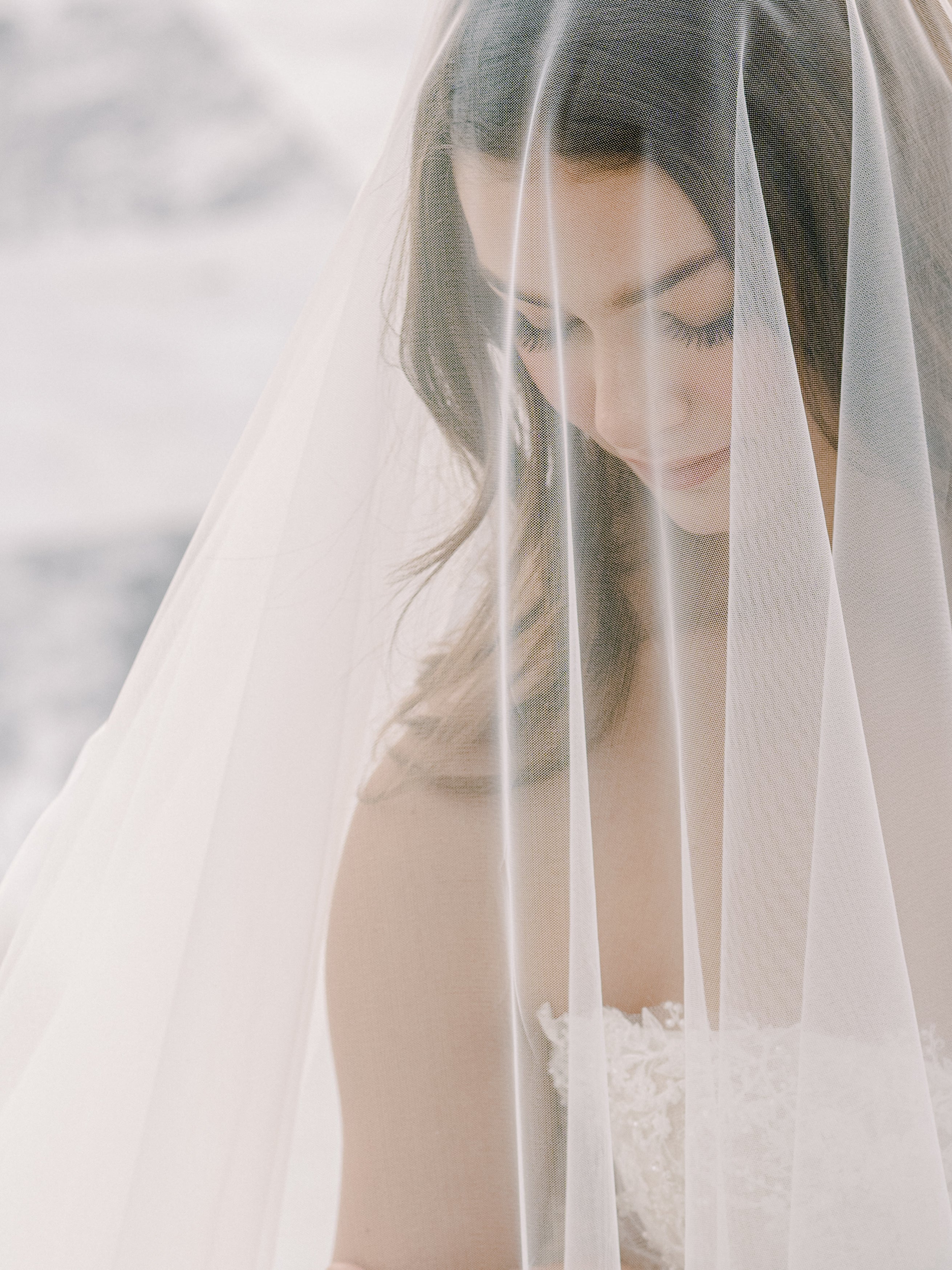 EDEN LUXE Bridal Veils VALENTINA Chantilly Lace Edged Drop Cathedral Bridal Veil