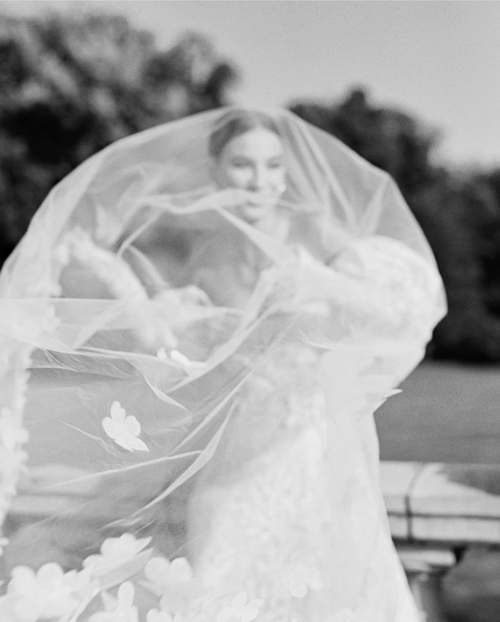 Cathedral Length Champagne Veil with 3D Floral Embroidery