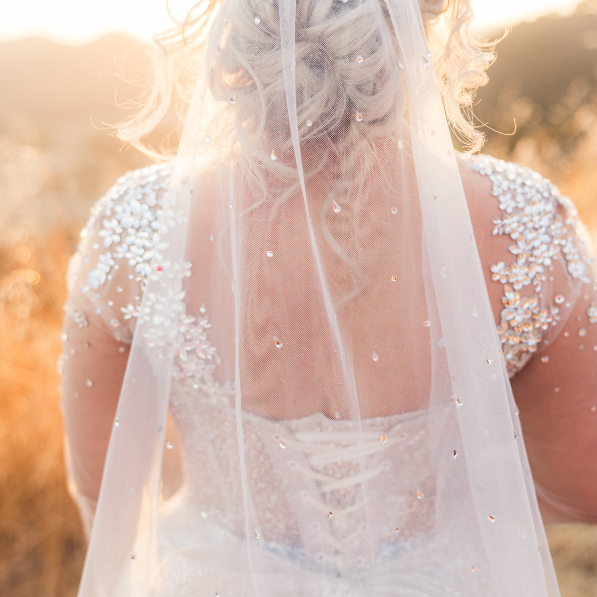 Bejeweled Cathedral Bridal Veil WISH Veil, image size:1200x1200