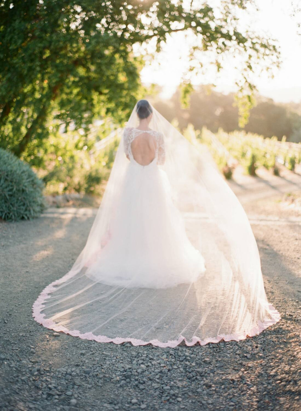 Eden Luxe Bridal Royal Cathedral Bridal Veil